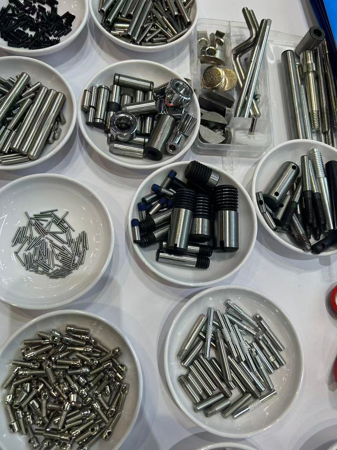 微信图片_20260302143507_305_2